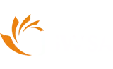 JSW S.A.
